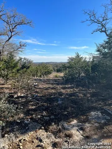 215 Palomino Springs, Bandera, TX 78003 - #3