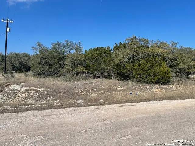 601 S Calvin Barrett, Blanco, TX 78606 - #3