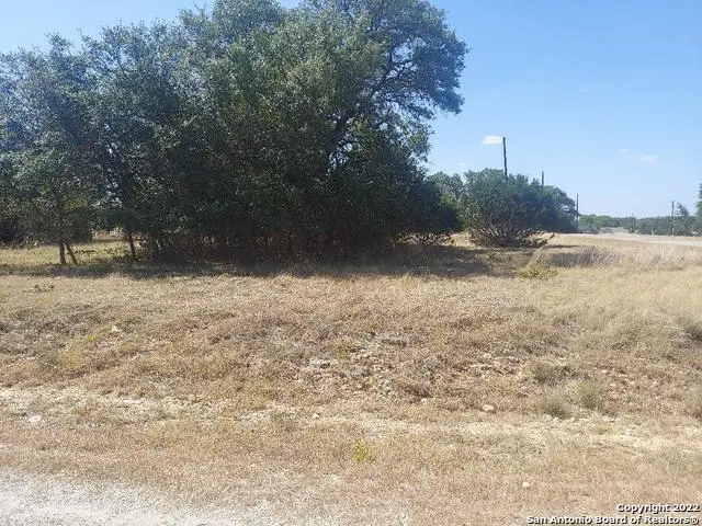 LOT 448 Williams Wood, Blanco, TX 78606 - #1