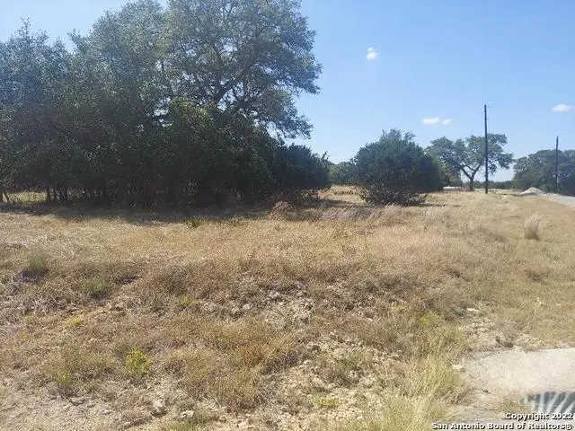 LOT 448 Williams Wood, Blanco, TX 78606 - #3