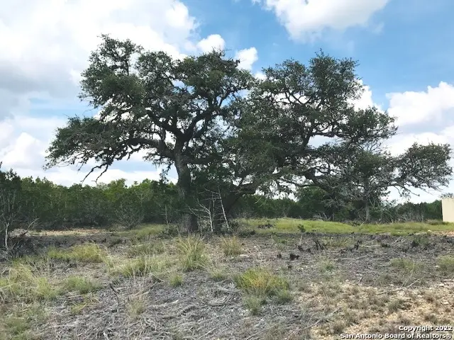 PARCEL 4 Rio Lantana, Pipe Creek, TX 78063 - Image #2