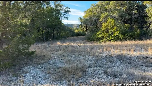 147 Private Road 1738, Mico, TX 78056 - Image #2