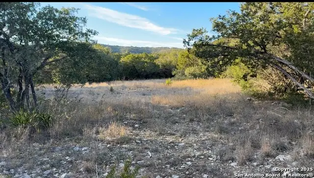 147 Private Road 1738, Mico, TX 78056 - Image #3