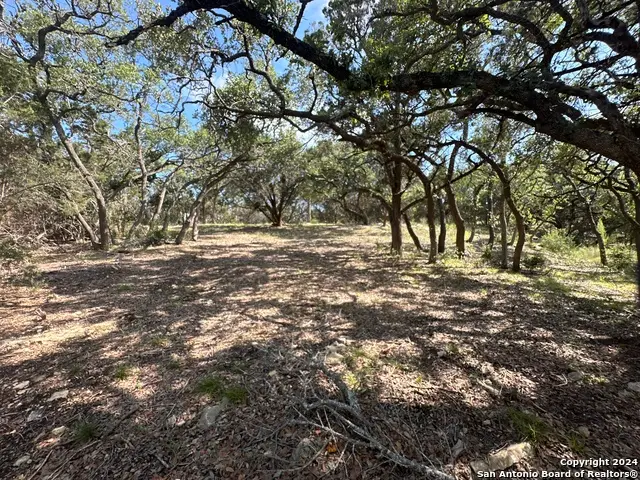 34749 Carries Creek, Bulverde, TX 78163 - #3