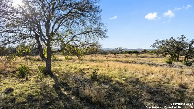 LOT 91 Axis Cir, Fredericksburg, TX 78624 - #2