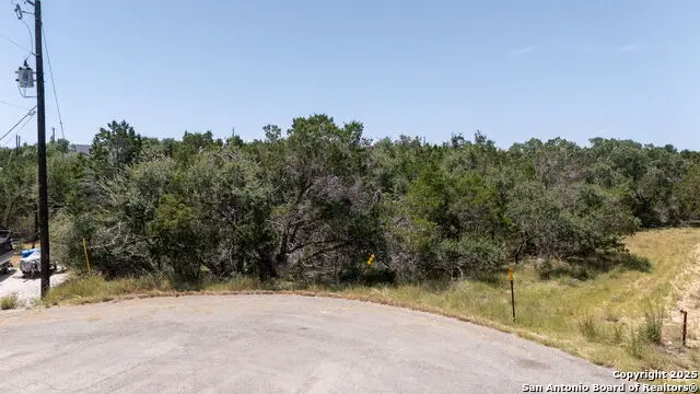 1465 Ironwood Rd, Fischer, TX 78623 - Image #2