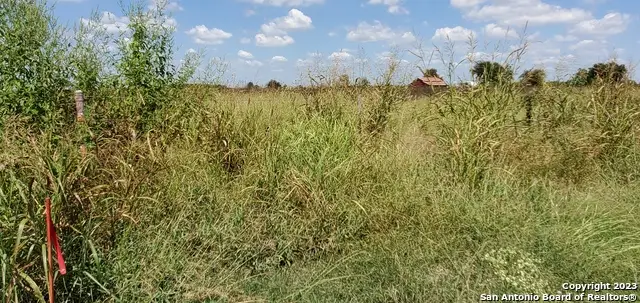 780 & 848 Bolton Rd, Marion, TX 78124 - Image #2