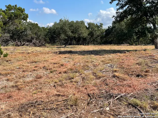 276 Kellog, Fischer, TX 78623 - Image #1