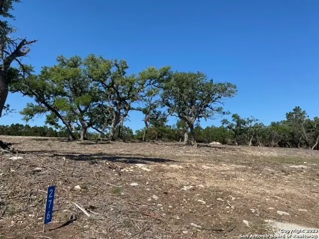 276 Kellog, Fischer, TX 78623 - Image #3