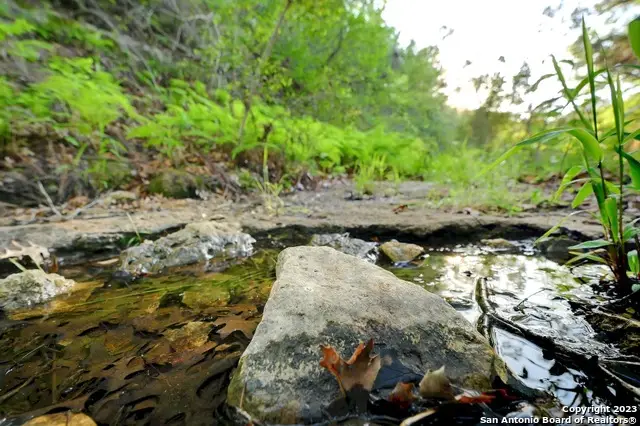 10700 Fm 306, New Braunfels, TX 78132 - Image #3