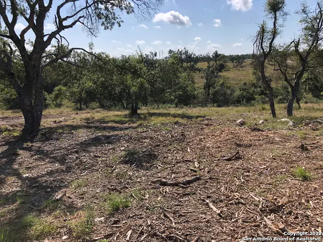 LOT 8 Longview Drive, Fredericksburg, TX 78624 - Image #3