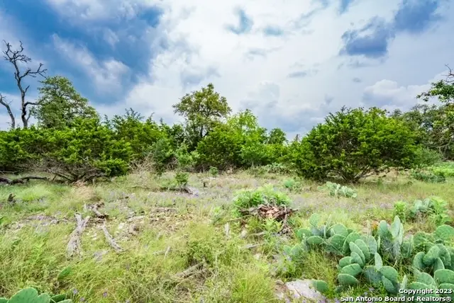 211 Spring Rd, Fredericksburg, TX 78624 - Image #2