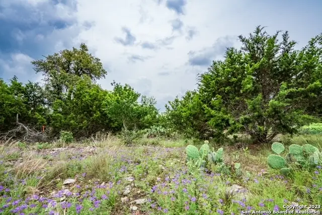 211 Spring Rd, Fredericksburg, TX 78624 - Image #3