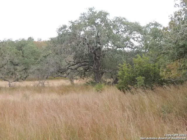 558 Mystic Breeze, Spring Branch, TX 78070 - Image #3