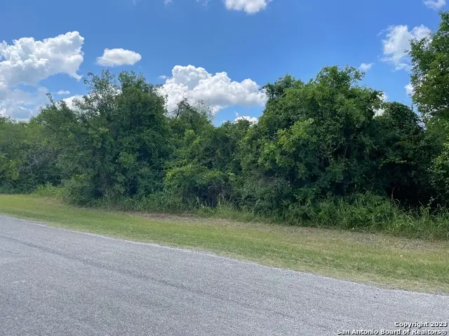 255 County Road 386, San Antonio, TX 78253 - #1