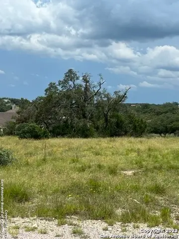 102 Ephraim Mclane, Blanco, TX 78606 - #1