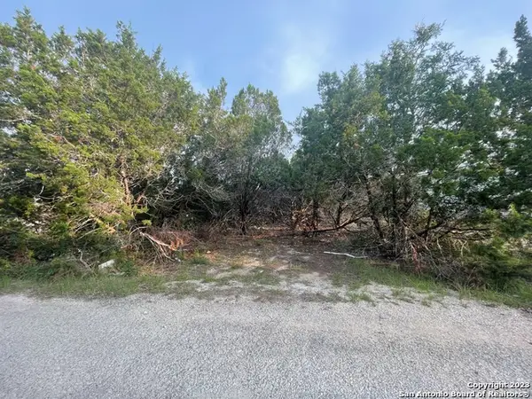 336 Hillside Dr, Spring Branch, TX 78070