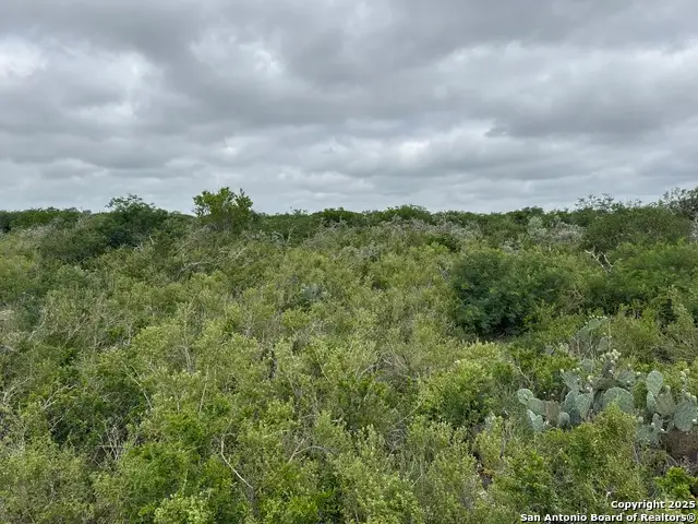 675 Legend Hls, Uvalde, TX 78801 - Image #3