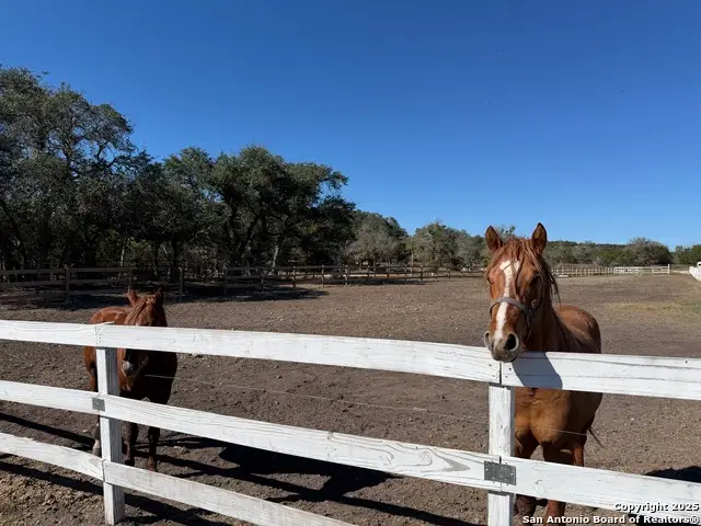 1841 Oak Meadows, Canyon Lake, TX 78133 - #1