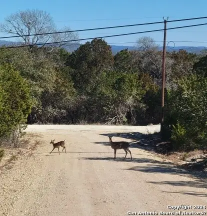 LOT 469 Topside Trl, Bandera, TX 78003 - Image #1