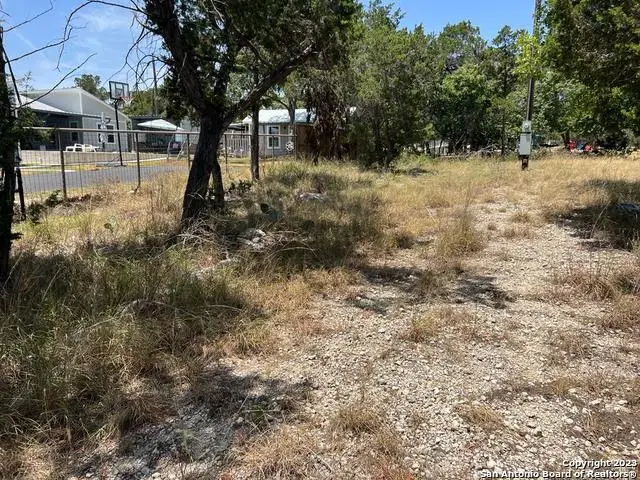 619 Cactus Flower, Canyon Lake, TX 78133 - #3