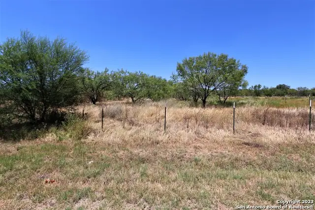 103 County Road 2638, Devine, TX 78016 - Image #1