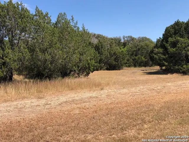 4200 Bell Ln, Selma, TX 78154 - Image #2