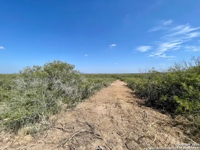 3132 County Road 1515, Moore, TX 78057 - Image #1