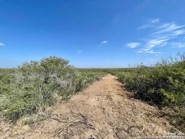 3132 County Road 1515, Moore, TX 78057