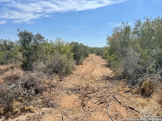 3132 County Road 1515, Moore, TX 78057 - Image #2