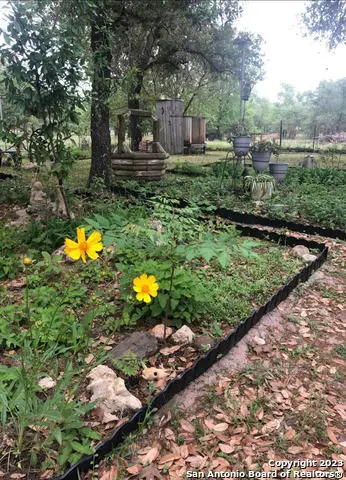 299 Highland Rd, Poteet, TX 78065 - Image #3