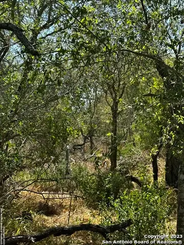 5958 Cr 405, Floresville, TX 78114 - Image #1