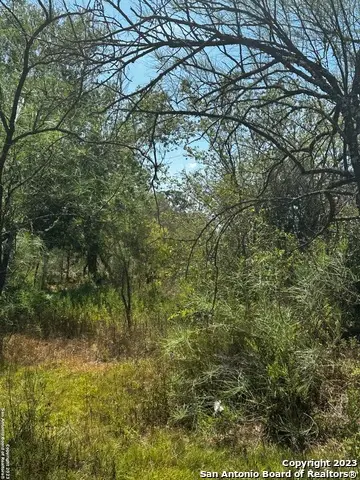 5958 Cr 405, Floresville, TX 78114 - Image #2