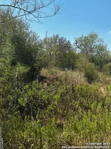 5958 Cr 405, Floresville, TX 78114 - Image #3