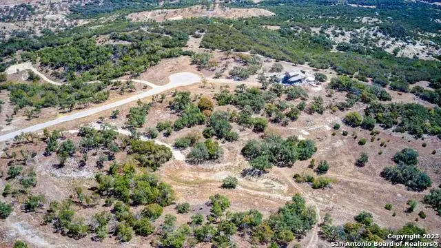 36 Twisted Oak Trail, Blanco, TX 78606 - #3