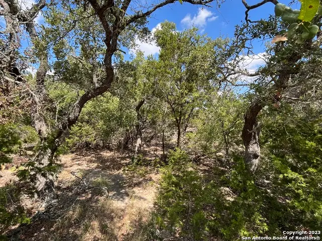 235 Flanders, Fischer, TX 78623 - Image #2