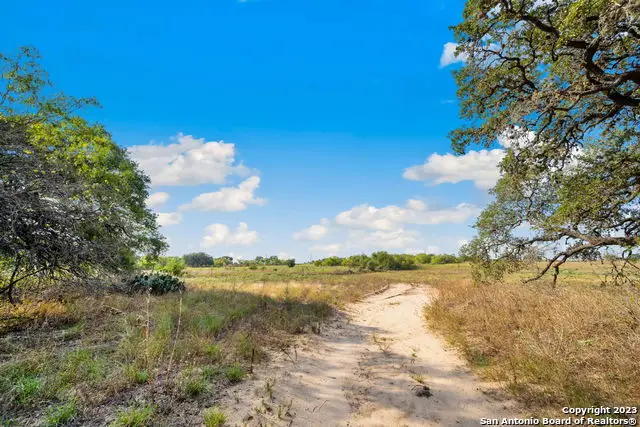 4401 Hardy Rd, Elmendorf, TX 78112 - #2