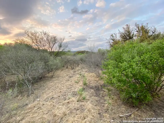 91 Lantana, Concan, TX 78838 - Image #3