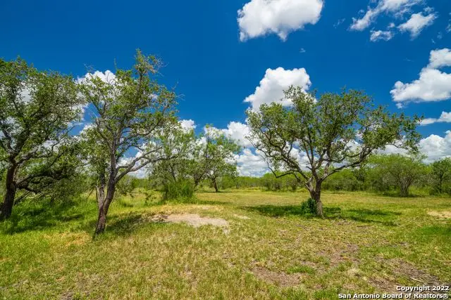 9815 Us-181n, Skidmore, TX 78389 - #3