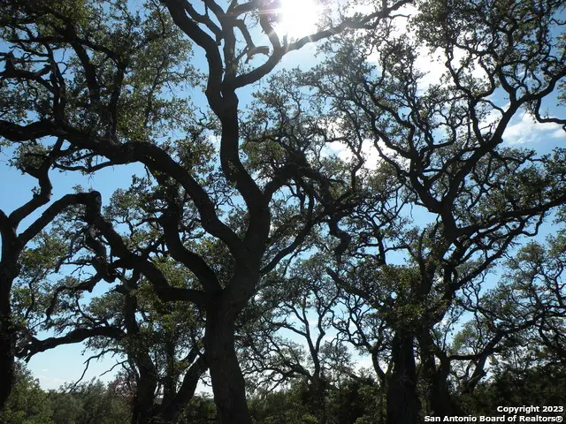 722 Blaze Ridge Blvd, Bulverde, TX 78163 - Image #1