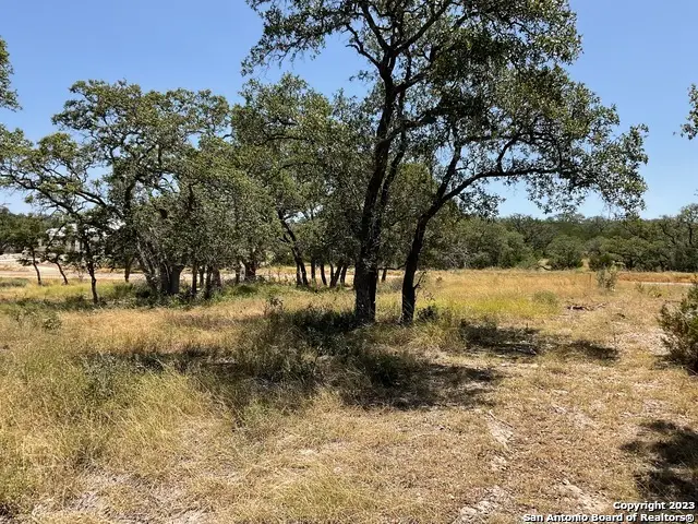 722 Blaze Ridge Blvd, Bulverde, TX 78163 - Image #2