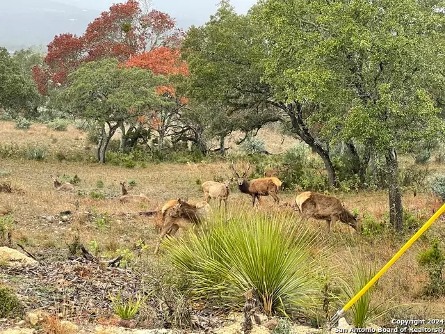 LOT 54 Blackbuck Trail, Pipe Creek, TX 78063 - Image #1