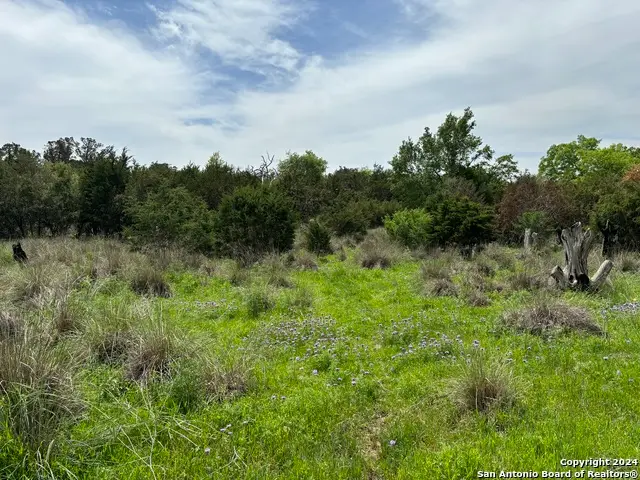 4.31 ACRES Walnut Grove Rd, Boerne, TX 78006 - Image #2
