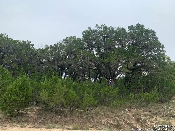 LOT 463 Topside, Bandera, TX 78003