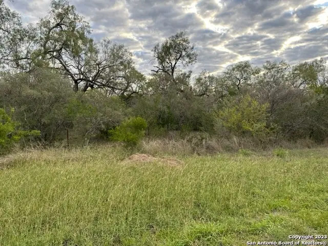 000 Christine Rd, Jourdanton, TX 78026 - Image #2