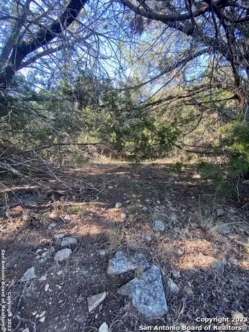 2594 Robin Hood Dr, Canyon Lake, TX 78133 - Image #1