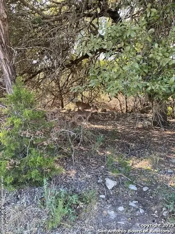 2594 Robin Hood Dr, Canyon Lake, TX 78133 - Image #3