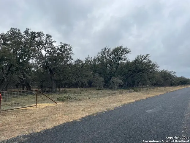 000 County Road 311, Dhanis, TX 78850 - Image #2