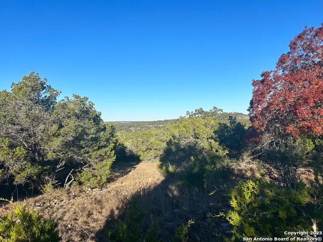 30130 Beck Rd, Bulverde, TX 78163 - #1