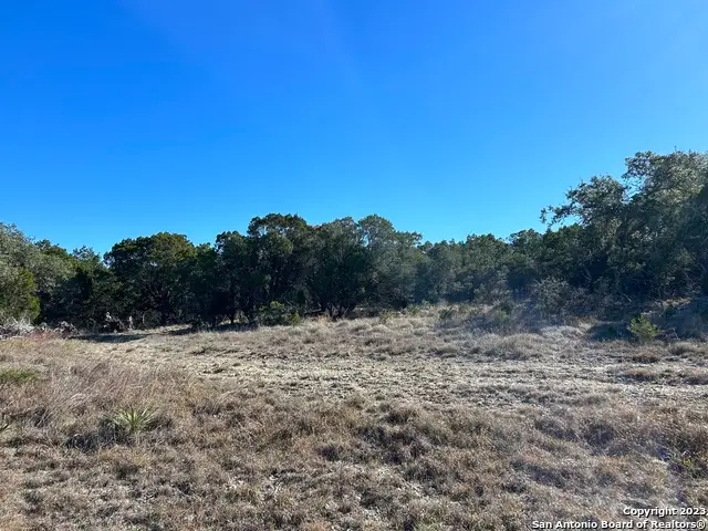 30130 Beck Rd, Bulverde, TX 78163 - #2